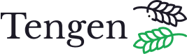 Logo | Tengen