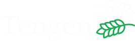 Logo | Tengen